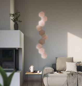 Questa è l'immagine di un Nanoleaf Elements a 10 pannelli montato sulla parete di un salotto dietro a un divano. Questi pannelli luminosi sono totalmente personalizzabili e i connettori creano il loro design unico. I pannelli luminosi smart sono perfetti per illuminare il tuo living, creando un'atmosfera moderna e allegra.